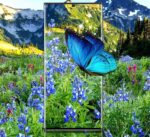3c7d1449cce1ae2e0691fe296acdbe42